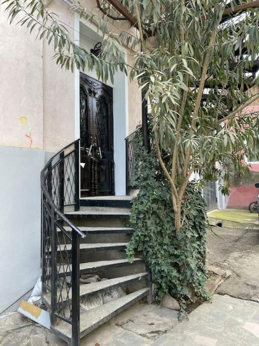 Apartmán House In Old Tbilisi Exteriér fotografie